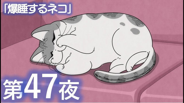 Still image for Nights with a Cat season 1 episode 47: Night 47: Sound-Asleep Cat