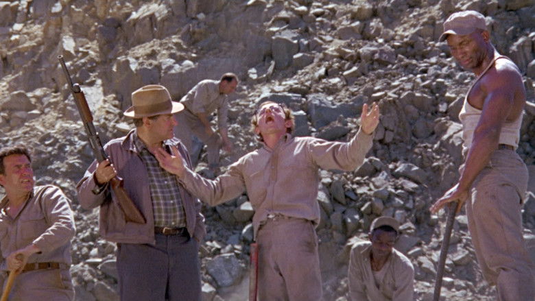 Take the Money and Run (1969)