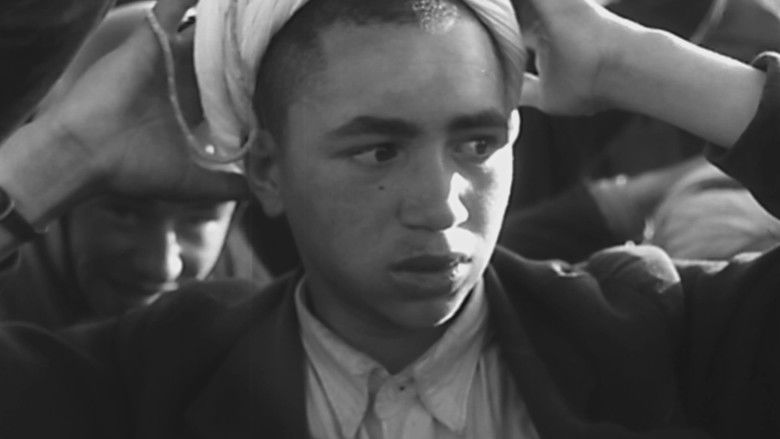 Still image for At War for Algeria season 1 episode 3: Terror and Guerrilla Warfare Still image for At War for Algeria season 1 episode 3: Terror and Guerrilla Warfare