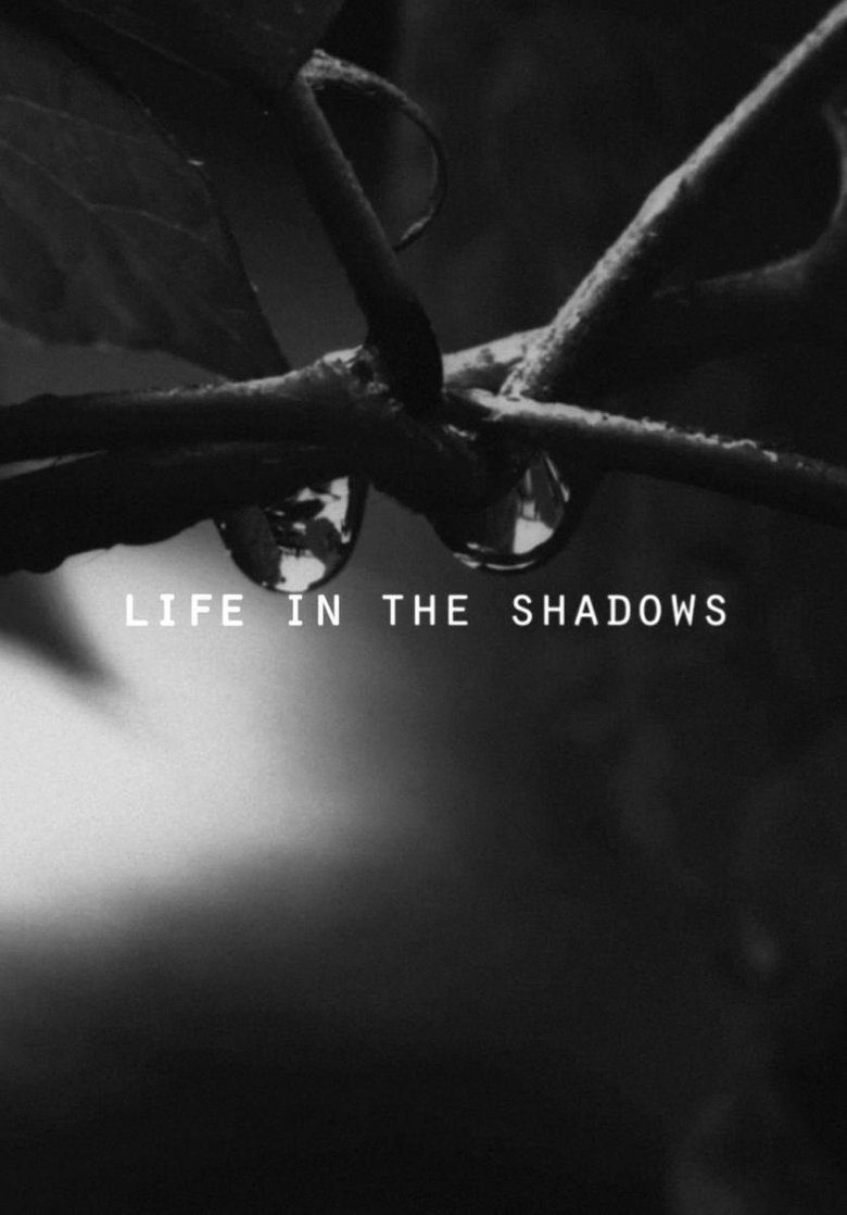 Life in the Shadows main poster