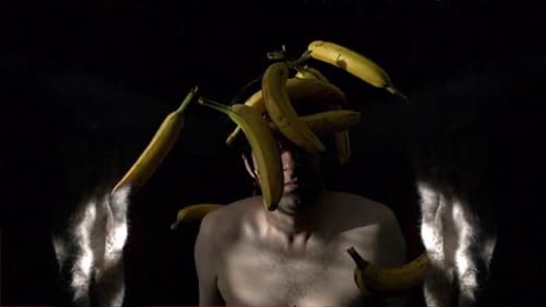 Gallery image from 6UolG0HDOmvYLONbyQrqWrPQWZ1.jpg