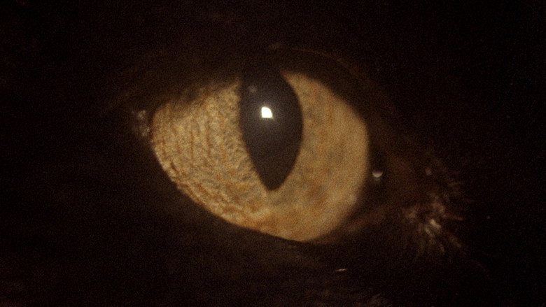 Somos animales still 10