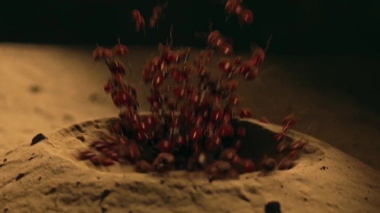 Still image for Candle in the Tomb season 1 episode 11: Episode 11 Still image for Candle in the Tomb season 1 episode 11: Episode 11