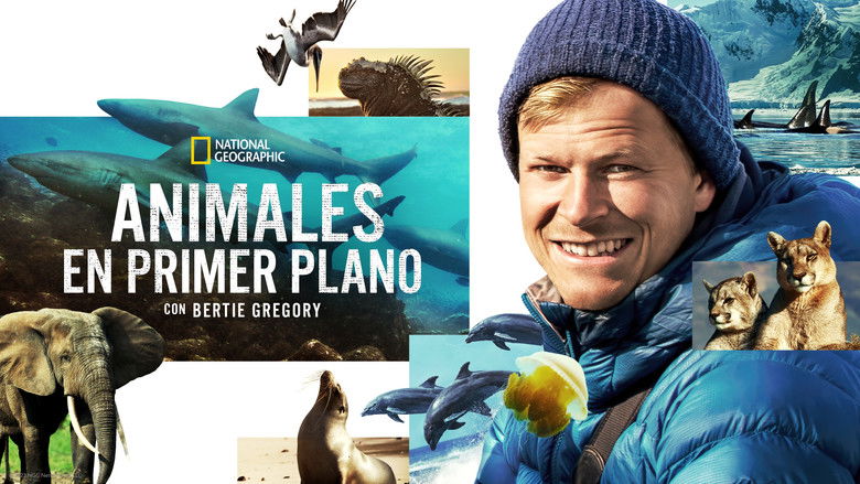 Gallery image from 6VpfeIGWmYx2KBM6OK3GfNRxvKH.jpg