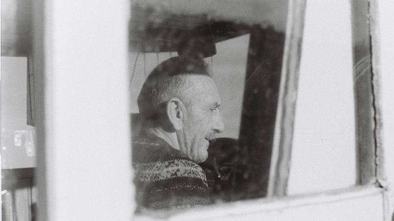 Gallery image from 6W03dgrUs4stbnwaZeC95M09djD.jpg