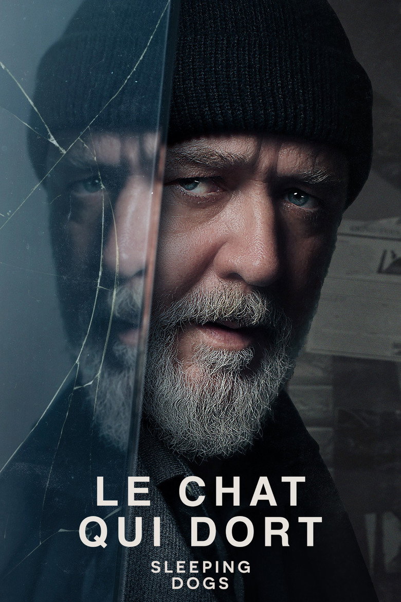 Póster la Película