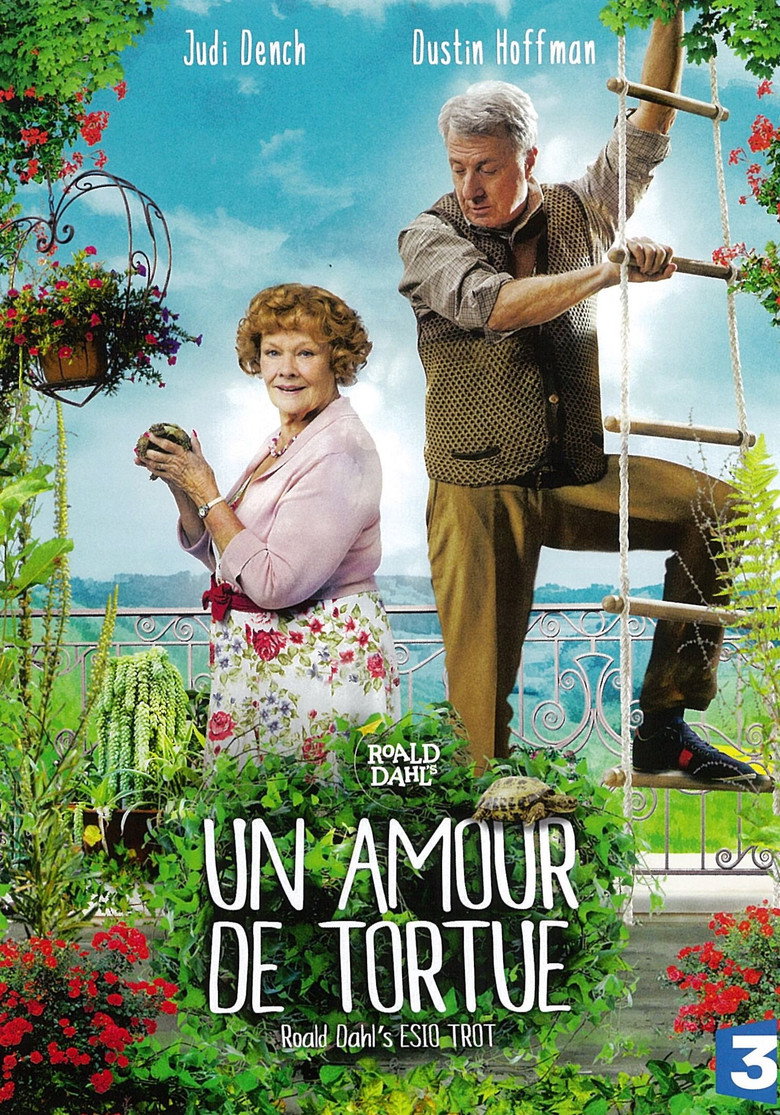 Affiche de UN AMOUR DE TORTUE