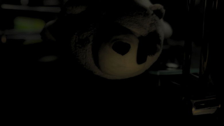 Echoes Behind the Veil