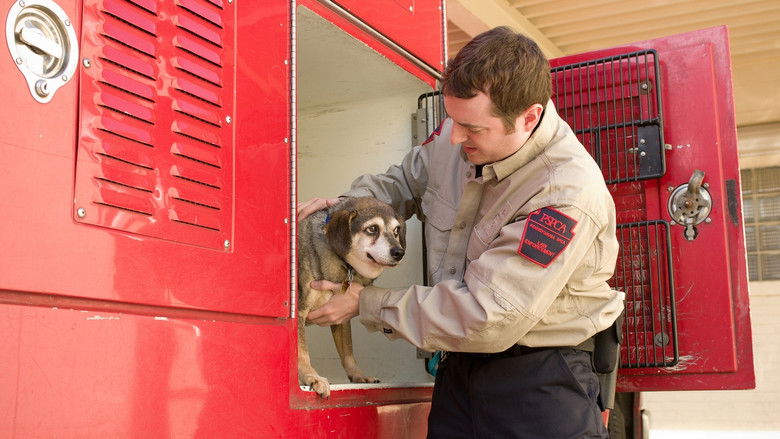 Still image for Animal Cops: Philadelphia season 1 episode 9: Bonnie and Clyde