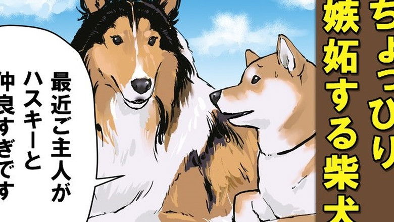 Still image for Doomsday with My Dog season 1 episode 50: Waterfall Meditation / A Long Tale About a Giraffe / A Short Tale About a Giraffe / The Romantic Affairs of Giraffes Still image for Doomsday with My Dog season 1 episode 50: Waterfall Meditation / A Long Tale About a Giraffe / A Short Tale About a Giraffe / The Romantic Affairs of Giraffes