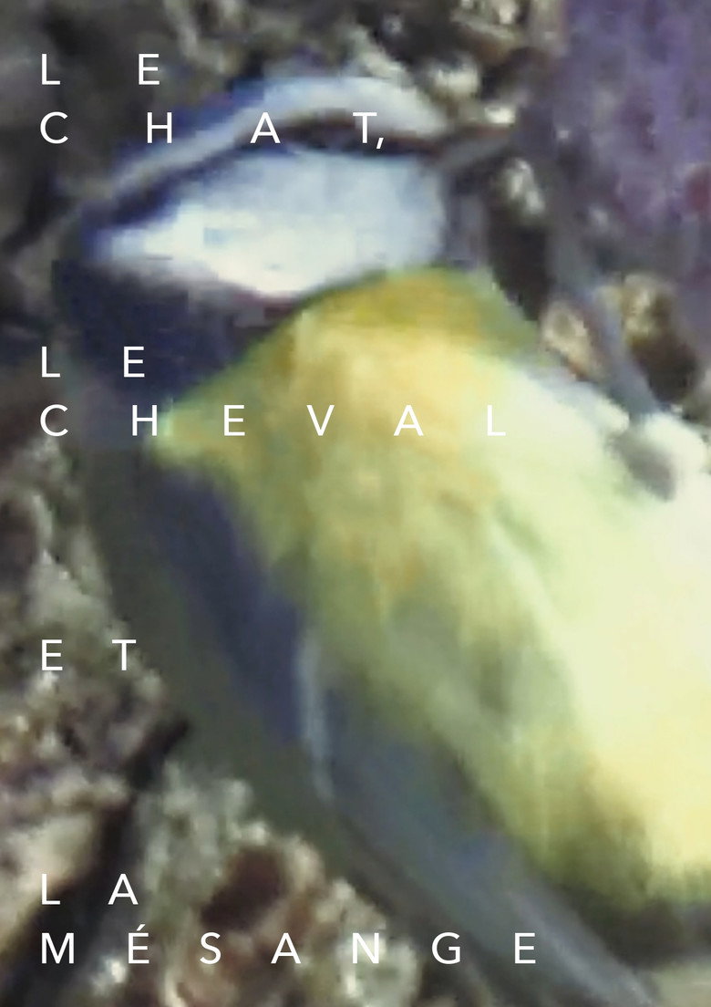 Imatge de Le chat, le cheval et la mésange