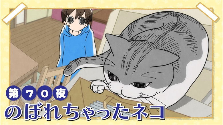 Still image for Nights with a Cat season 1 episode 70: Night 70: The Cat that Climber Up