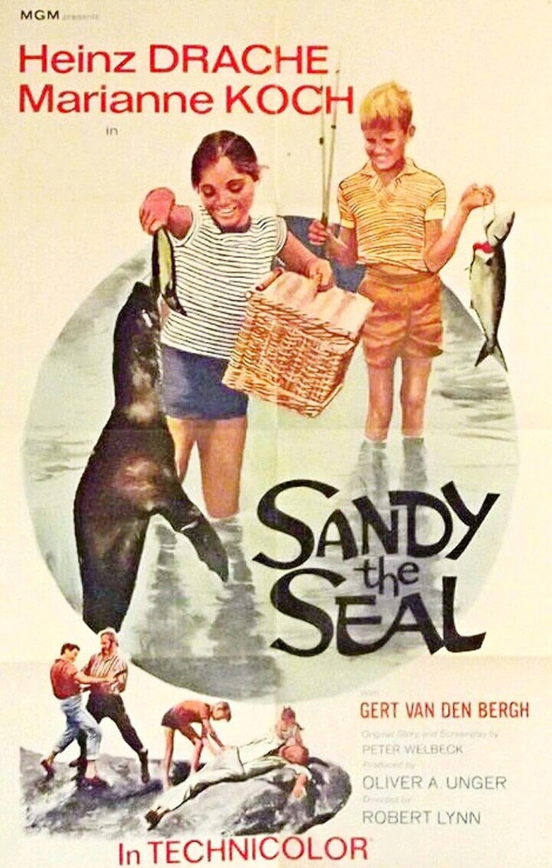 Imatge de Sandy the Seal