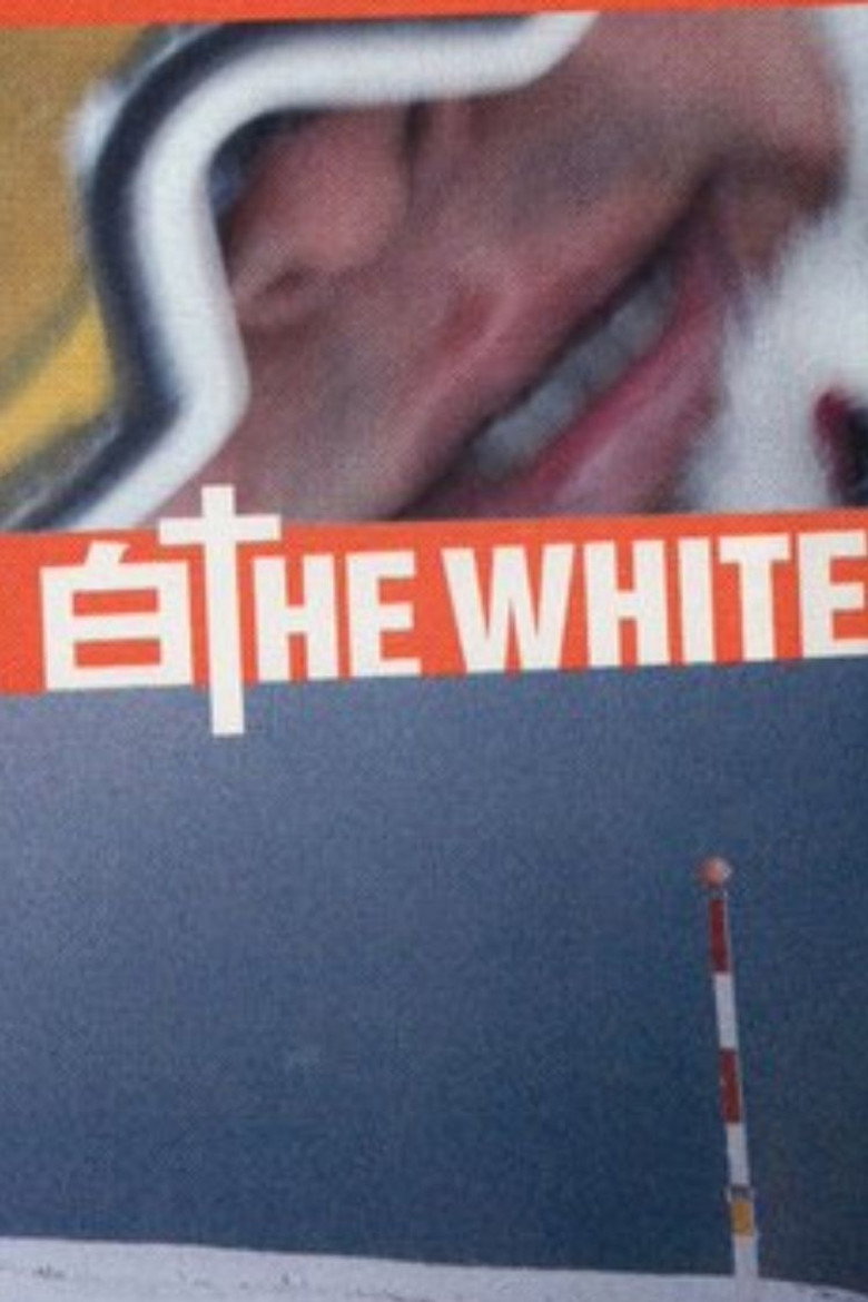 Shiro the White