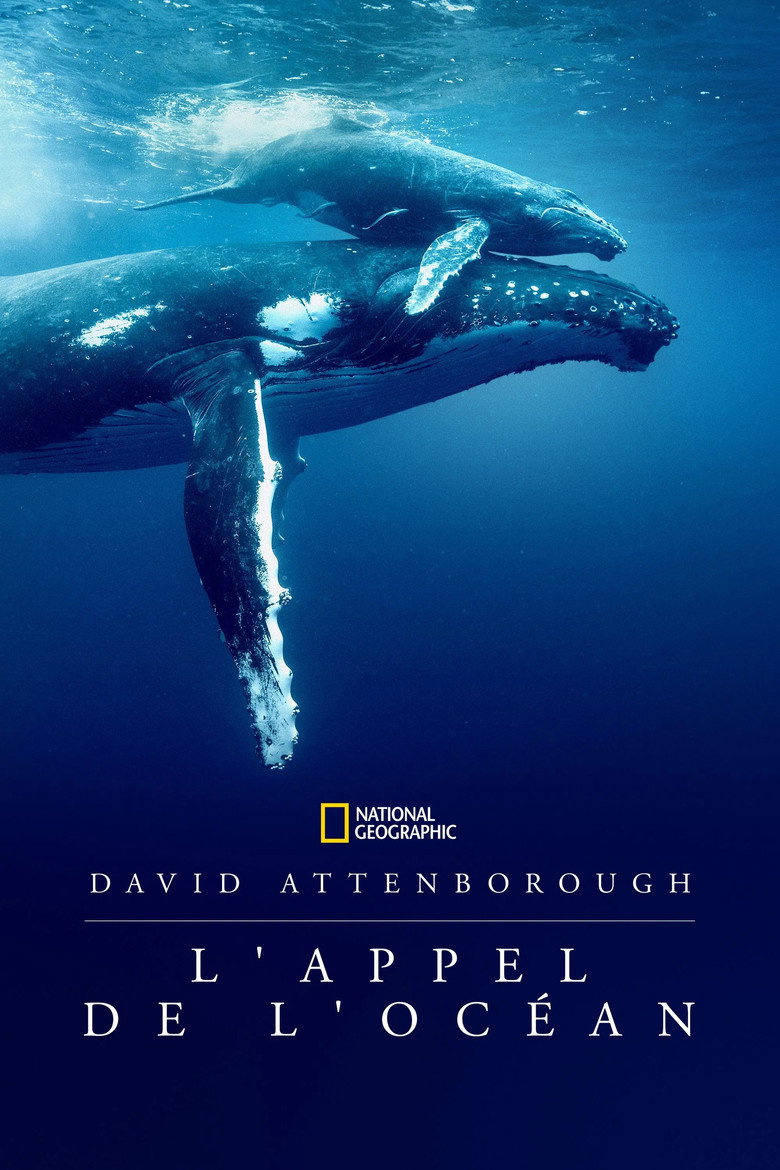 David Attenborough : L&rsquo;Appel de l&rsquo;Océan - Affiche