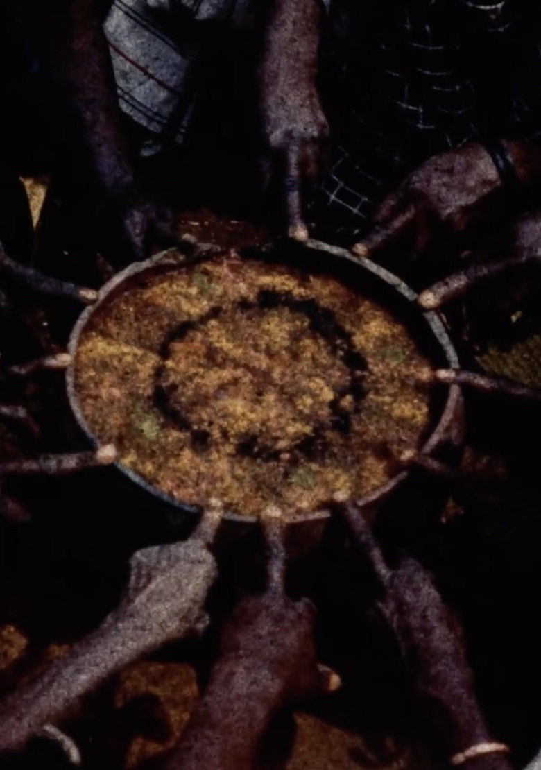 Imatge de Les Maîtres fous