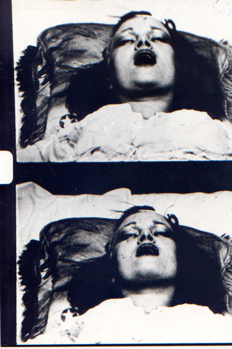 Imatge de Ecstatic Stigmatic