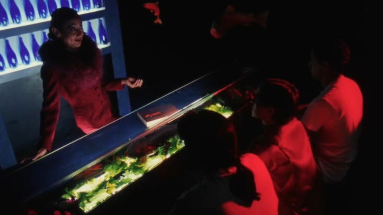 Imatge de Fresh Kill