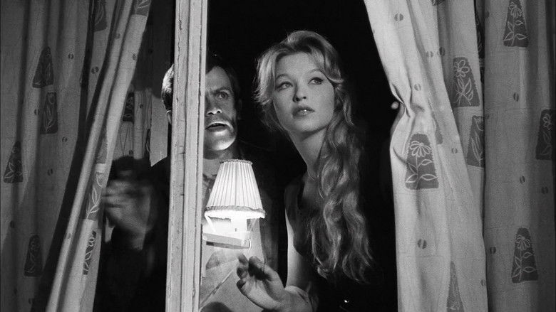 Imatge de La ragazza in vetrina