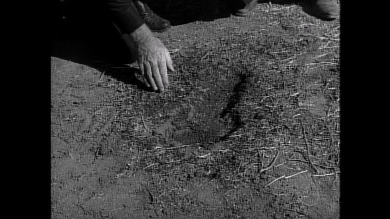 The Monster of Moon Ridge
