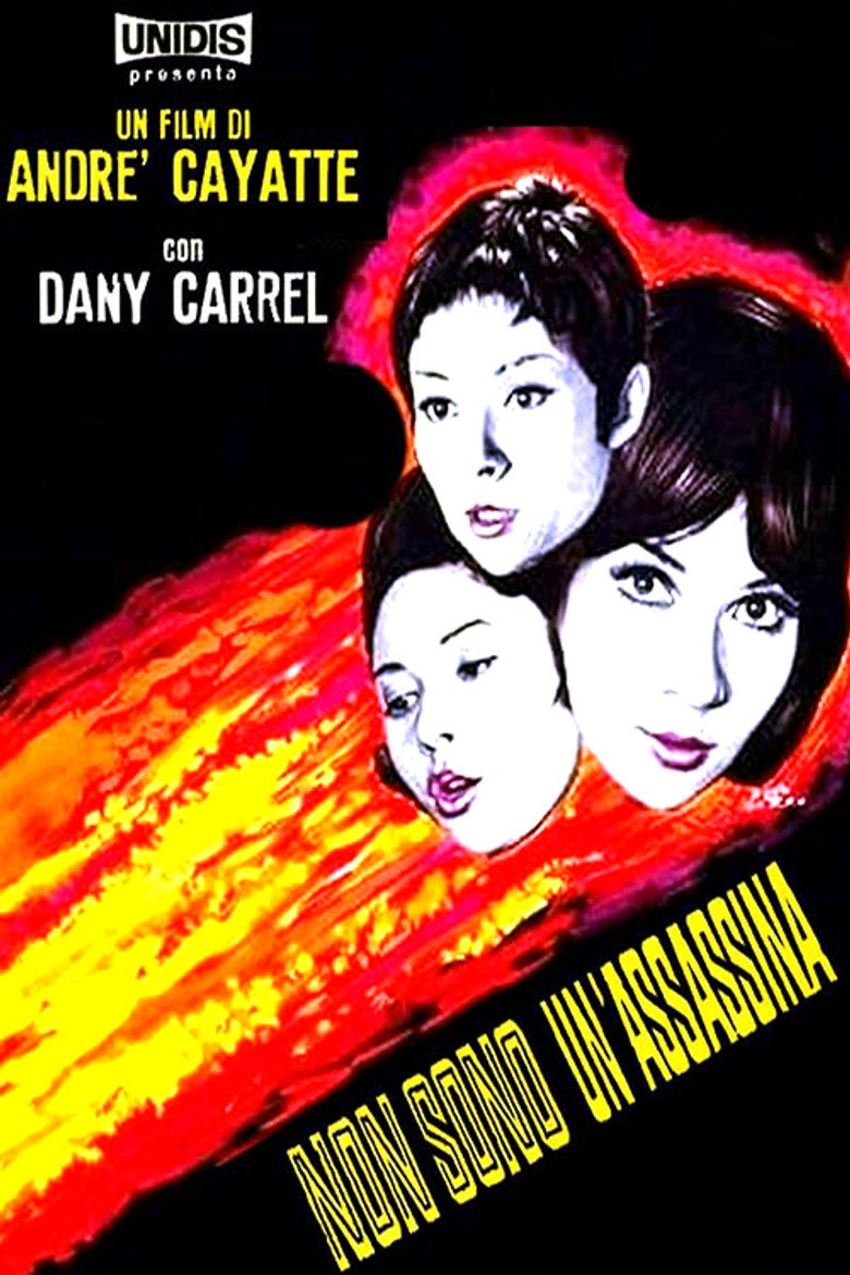 Copertina di Non sono un'assassina