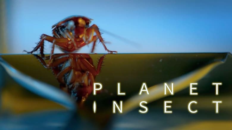 Planet+Insect