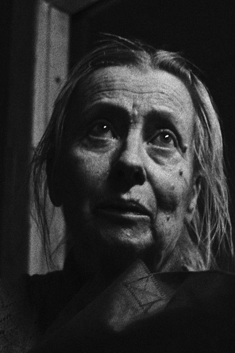 Imatge de (Ära) vaata