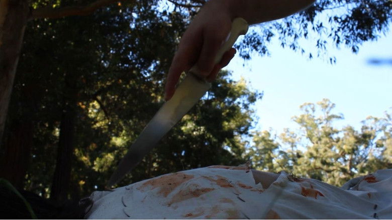 Gallery image from 6eR4o739AWUpeWDFCc5NPUFC5Is.jpg