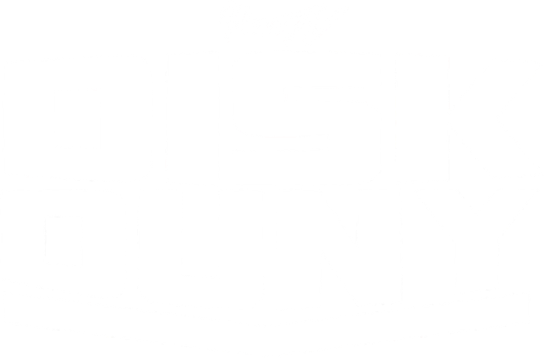 Disk Duny