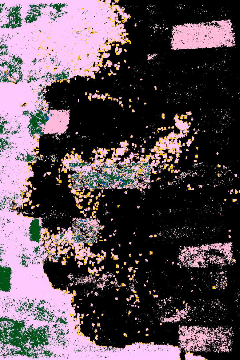 Imatge de Stone Fruit