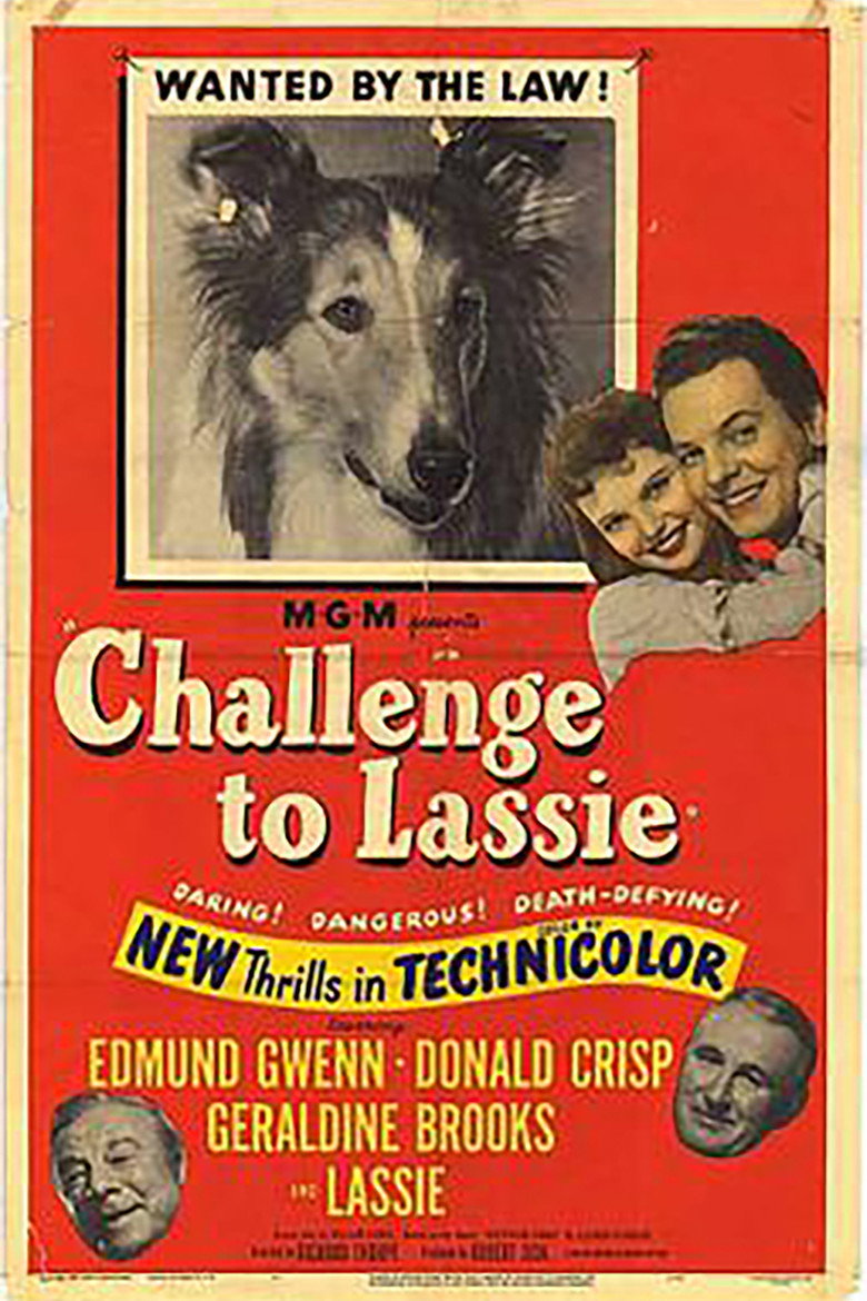 Lassie in Not