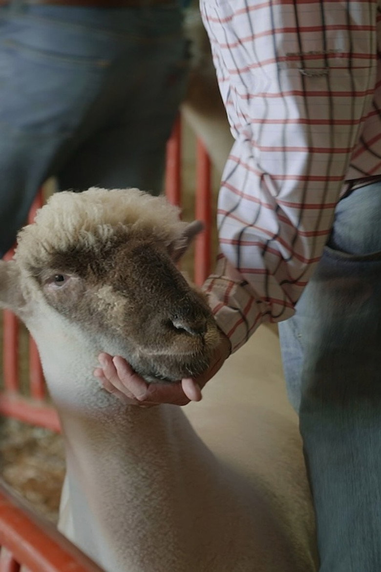 The Fair background