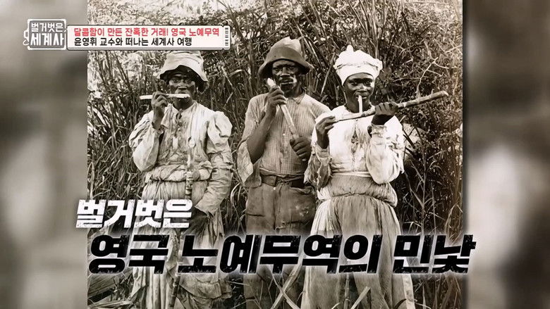 Still image for Seol Min-seok's Naked World History season 1 episode 41: Episode 41