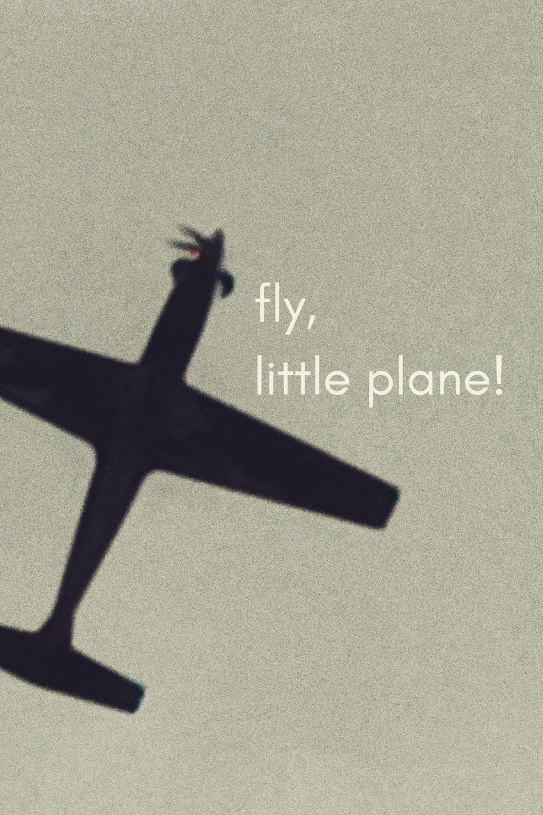Imatge de fly, little plane!