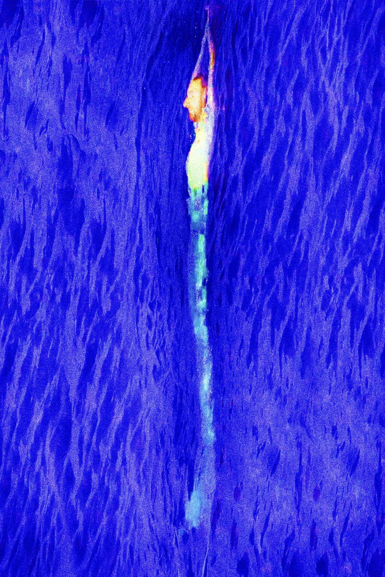 Imatge de In fondo al mare