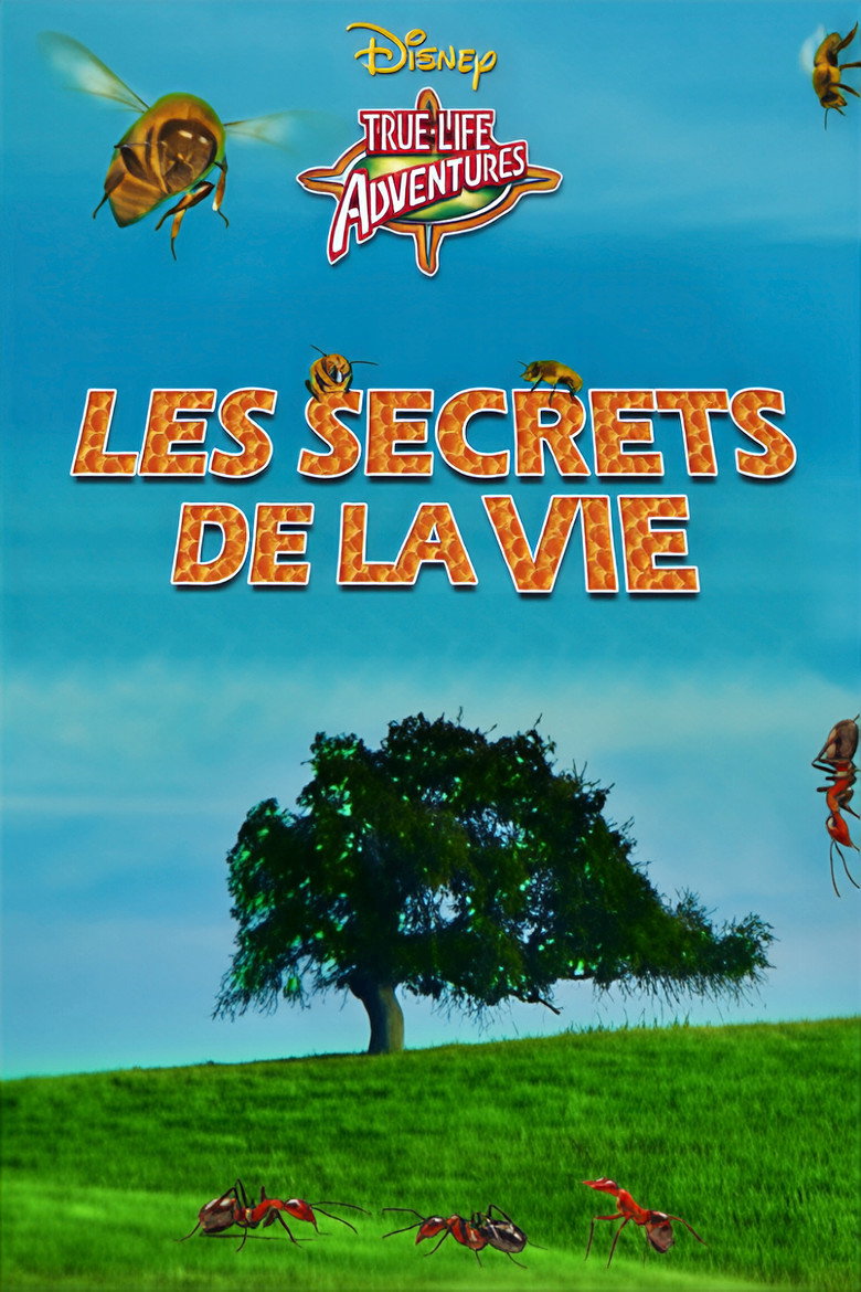 Affiche de LES SECRETS DE LA VIE