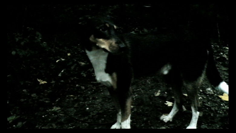 Image d'arrière-plan 11 du film Adieu au langage