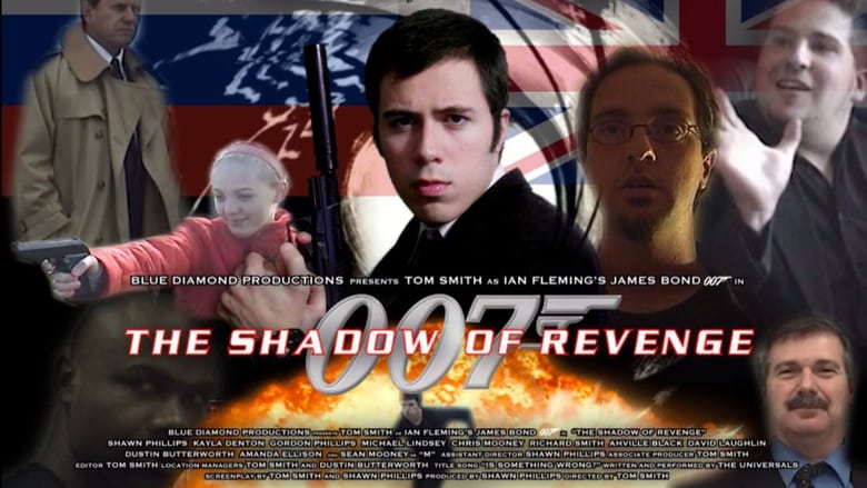 The Shadow of Revenge movie poster