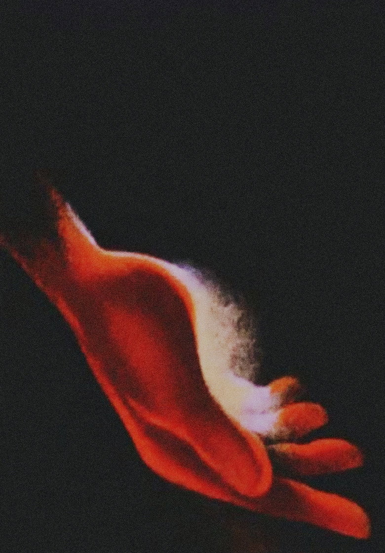 Chopin (2008)