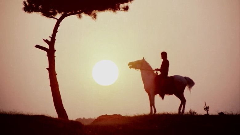 Gallery image from 6iP1Gxba94gzBdgz9eGyPBkaDkN.jpg