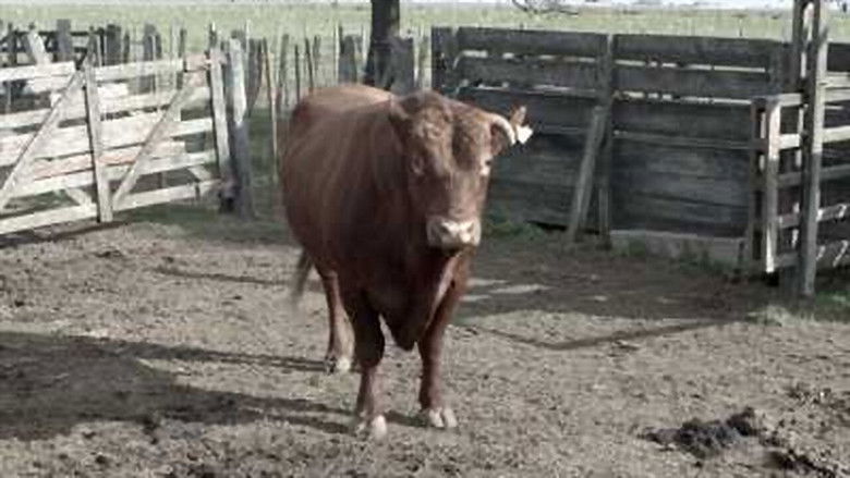 Gallery image from 6ifPpwz8fKpjMB4CAQCeq8a6Nht.jpg