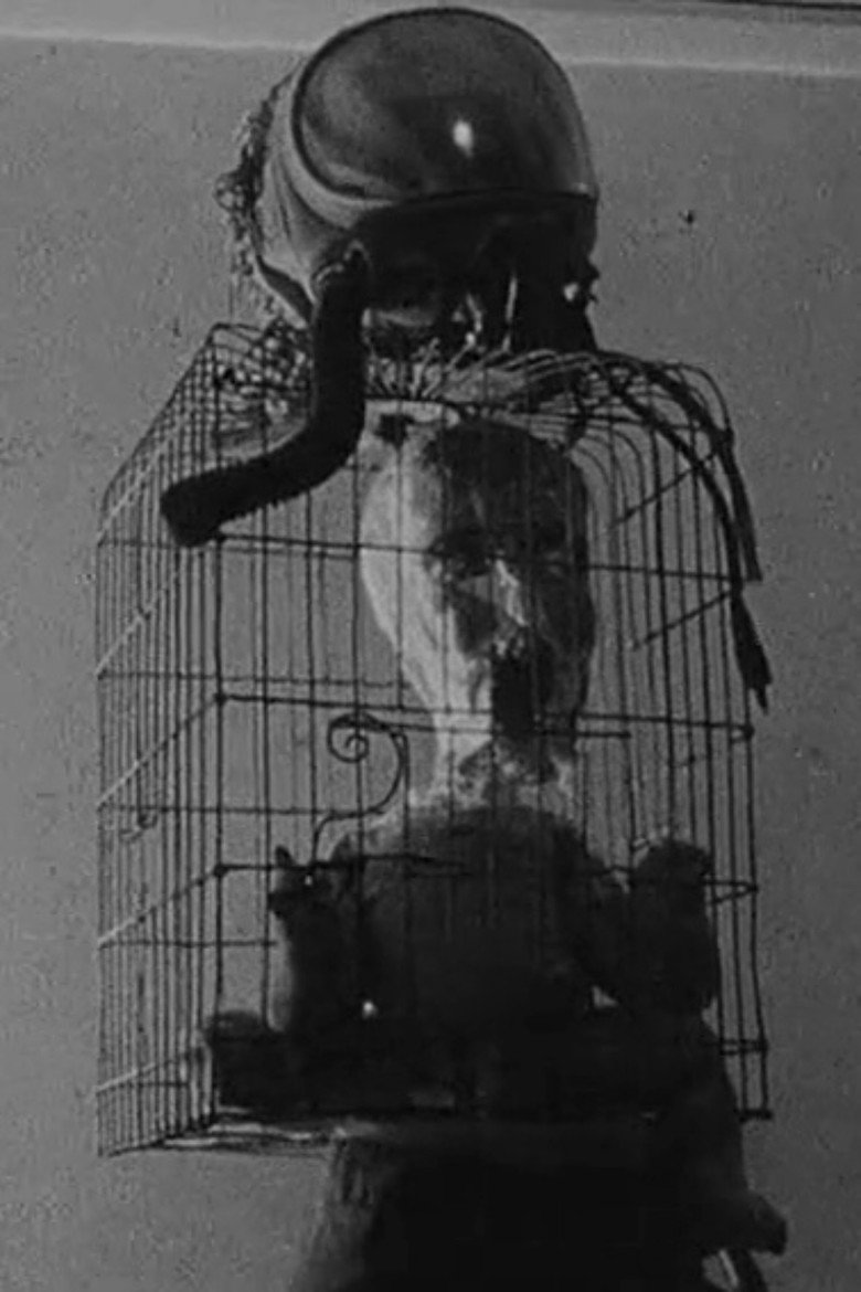 Imatge de The Humanoid Race