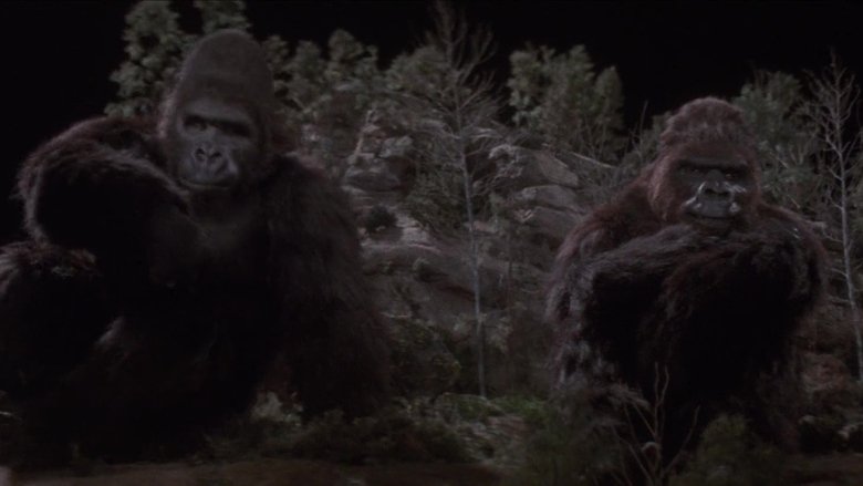 Gallery image from 6jfty4af8qrKs1OtUz4gj8aJKCJ.jpg