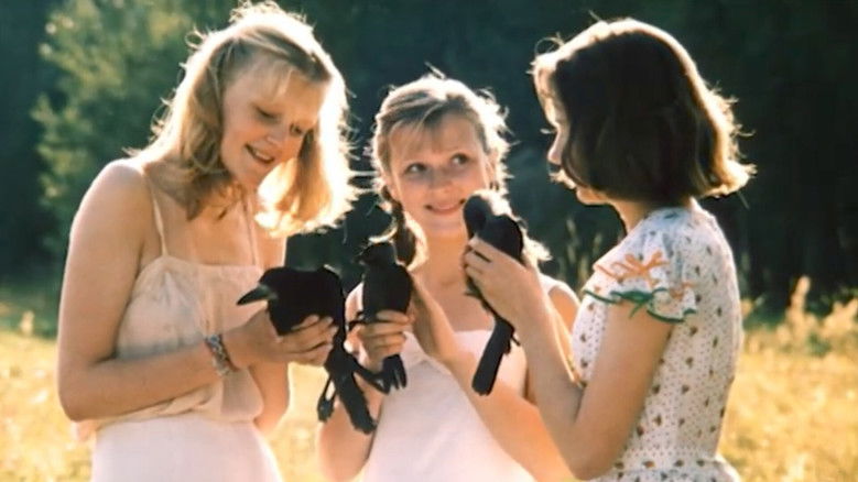 Image d'arrière-plan 9 du film Сад желаний