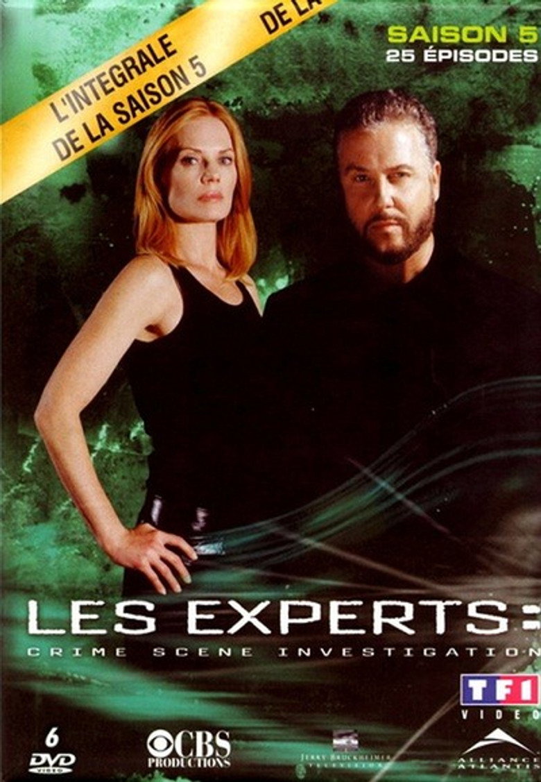 Les Experts poster