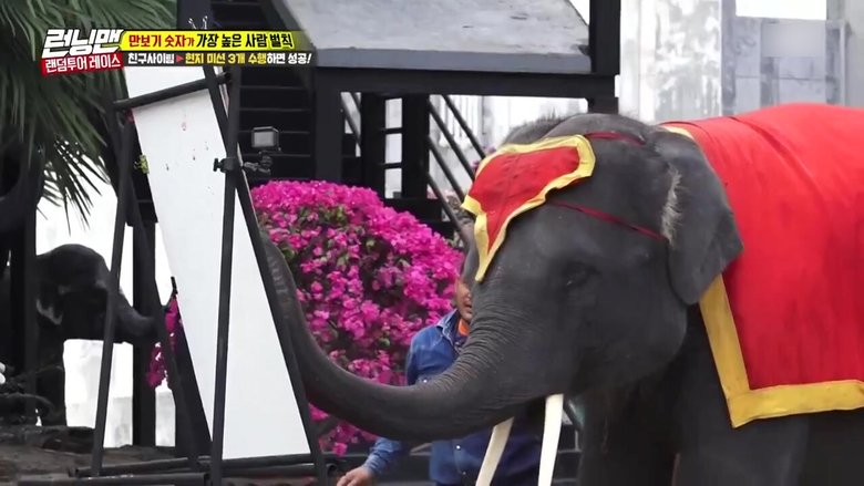 איש רץ עונה 1 פרק 391 לצפייה ישירה