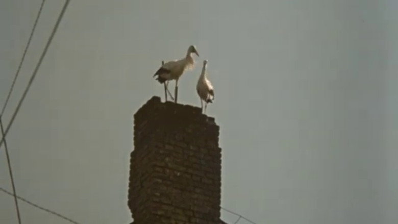 Still from The Roof
