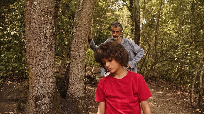 Gallery image from 6mxuwp8ZfO6VtvybPmdC1nXDa6K.jpg