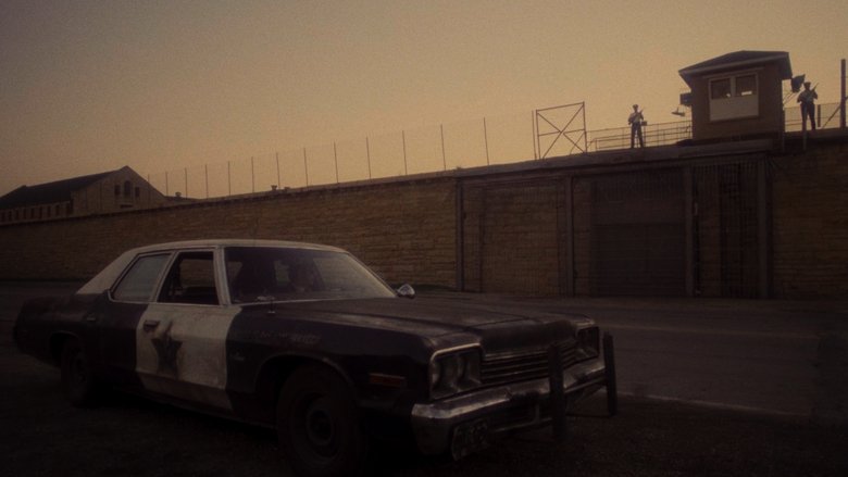 The Blues Brothers (1980)