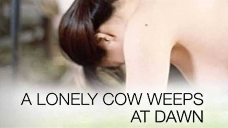 Les larmes d’une vache 3